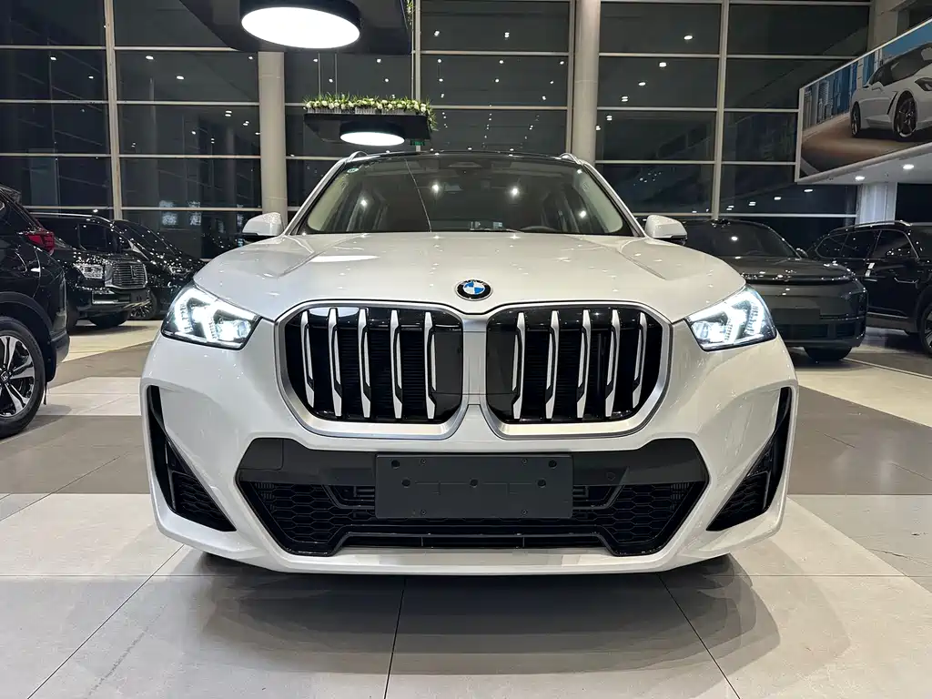BMW X1 — миниатюра 2