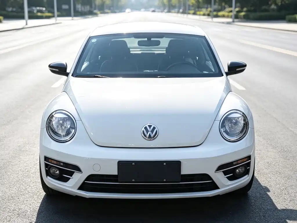 Volkswagen Beetle — миниатюра 2
