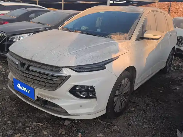 2021 Wuling Motors Victory
