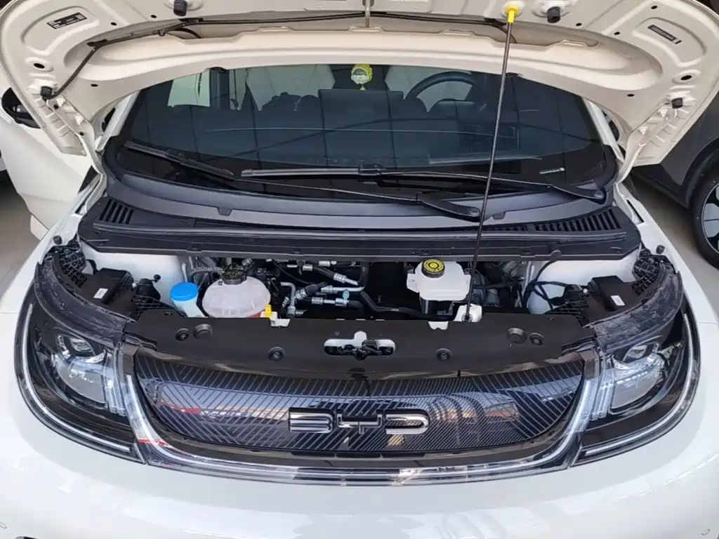 BYD Dolphin — миниатюра 20