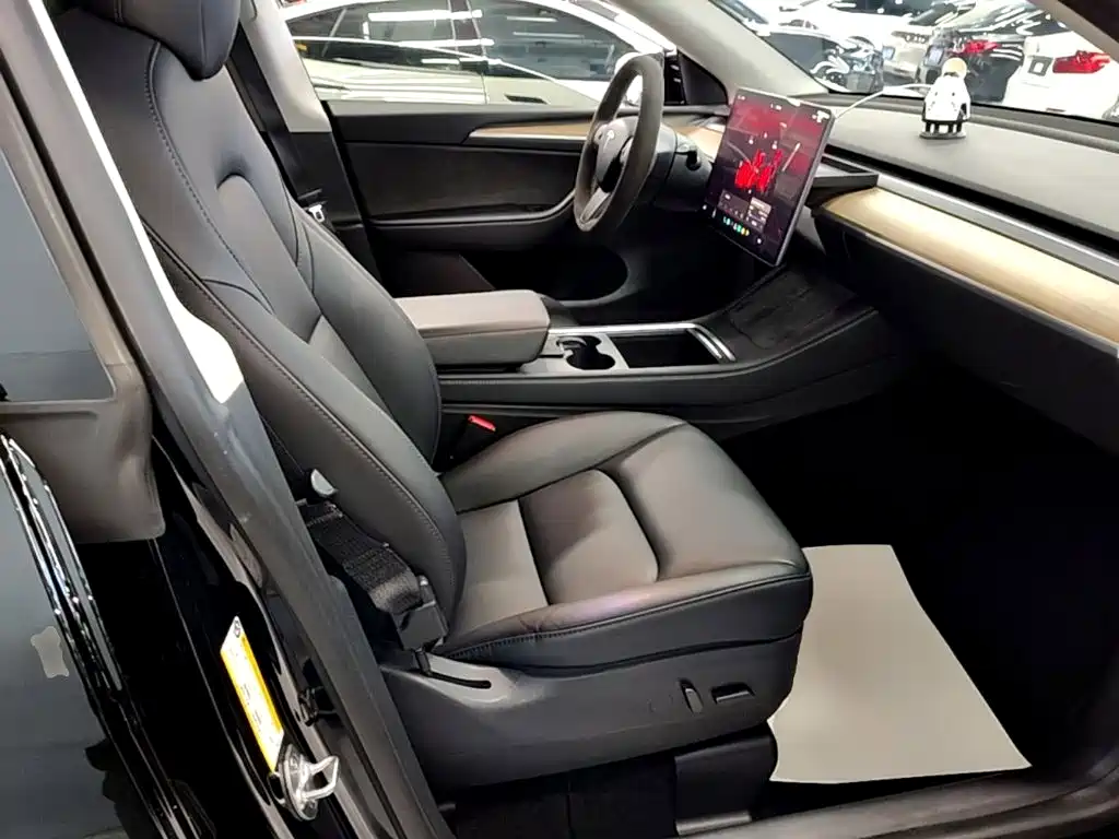 Tesla Model Y — миниатюра 25