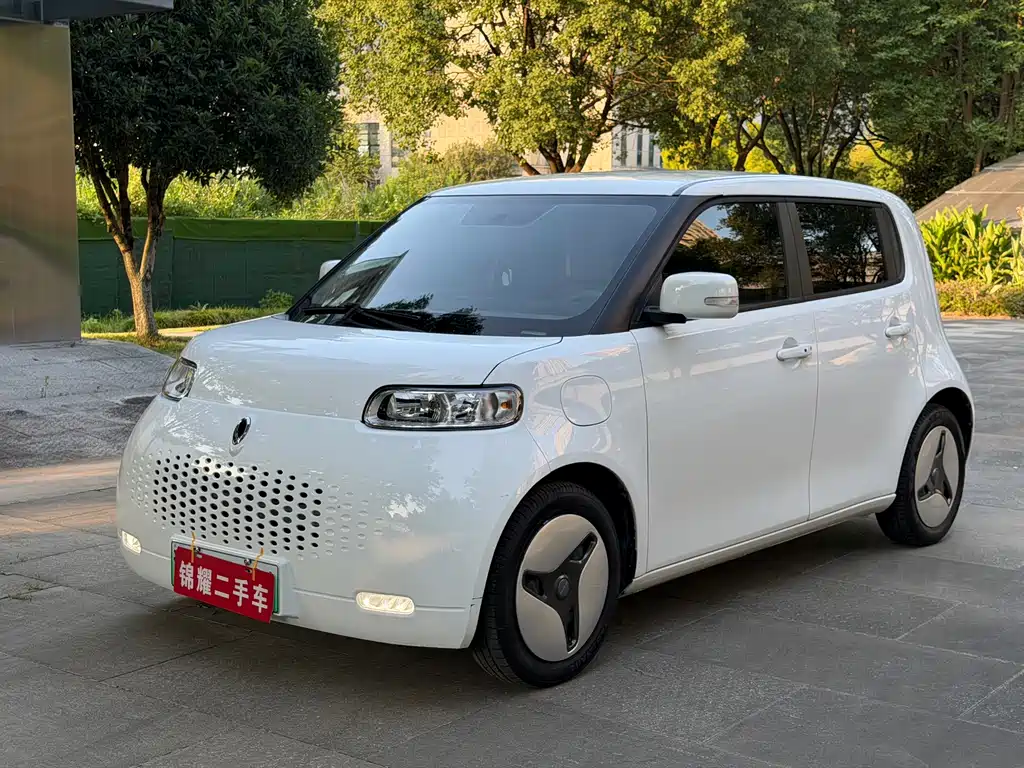 2020 Ora R2/White Cat - zdjęcie 1 z 24