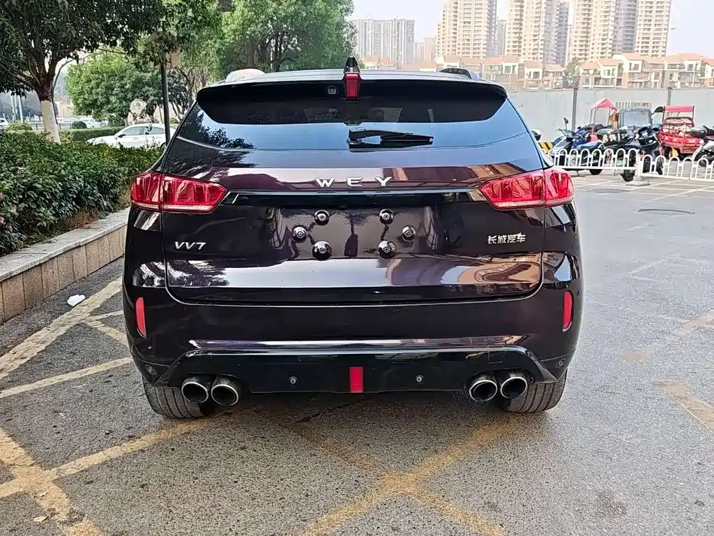 WEI PAI WEI BRAND VV7