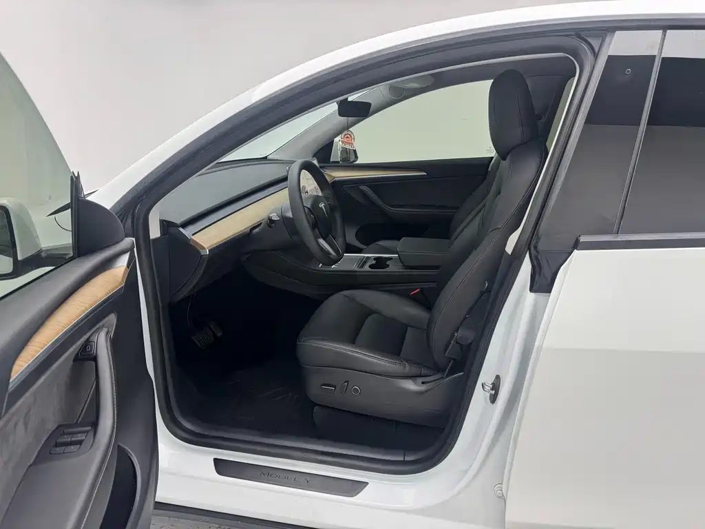 Tesla Model Y — миниатюра 4