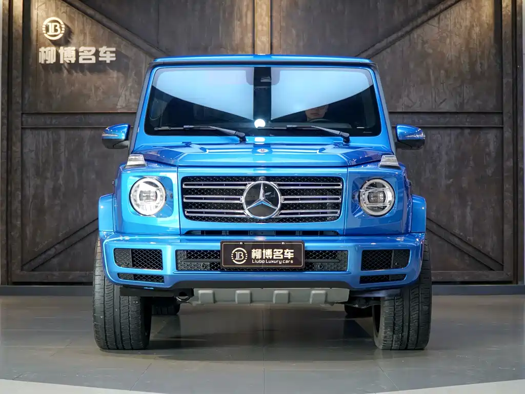 MERCEDES-BENZ G CLASS