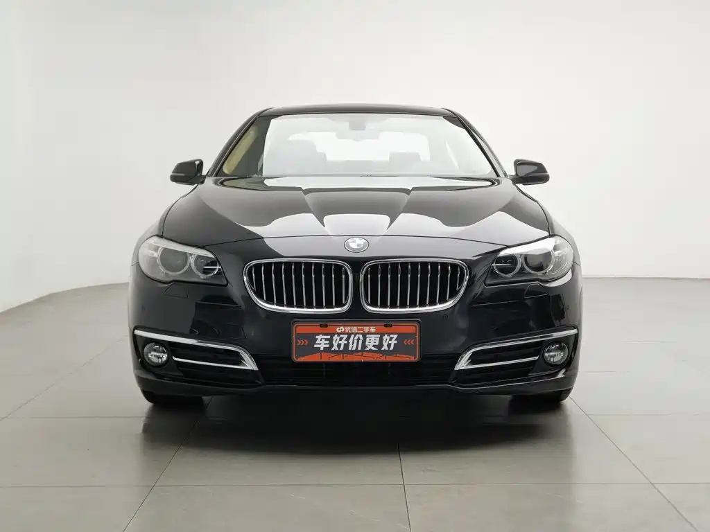 BMW 5 Series — миниатюра 3