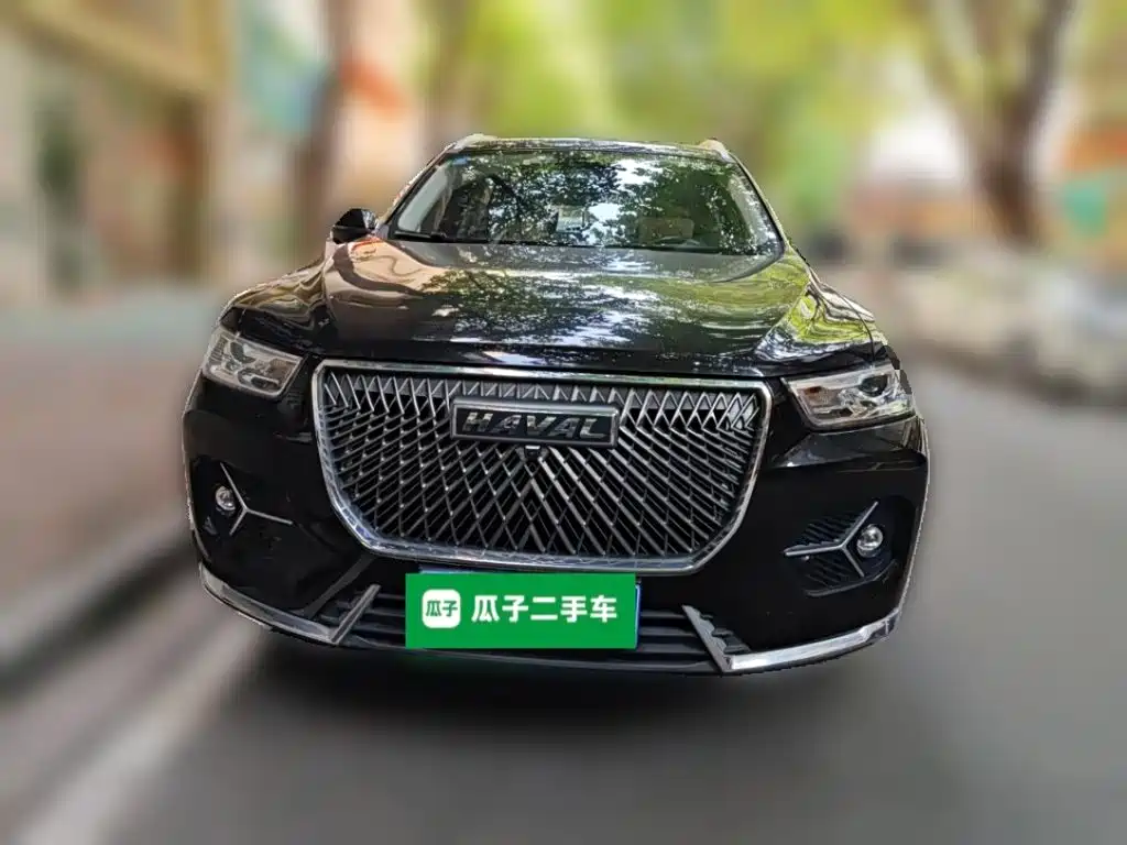 Haval H6 — миниатюра 2