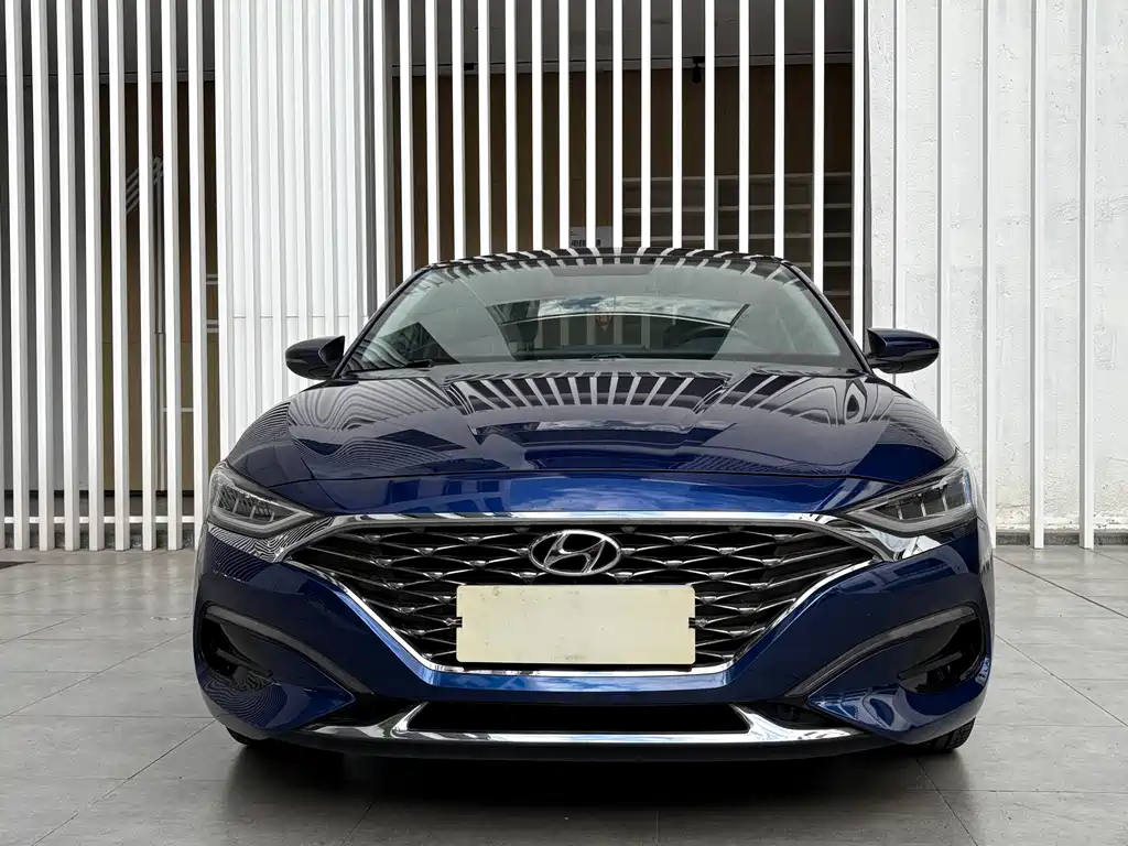 Hyundai Fista — миниатюра 2