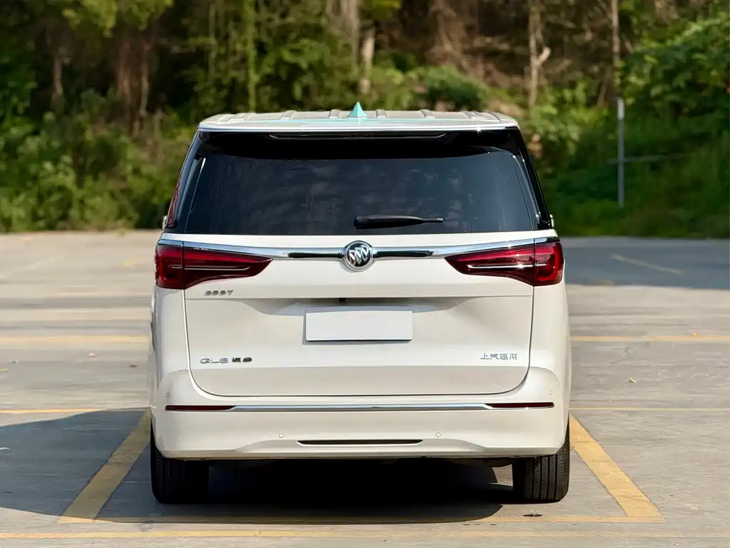 Buick GL8 — миниатюра 5