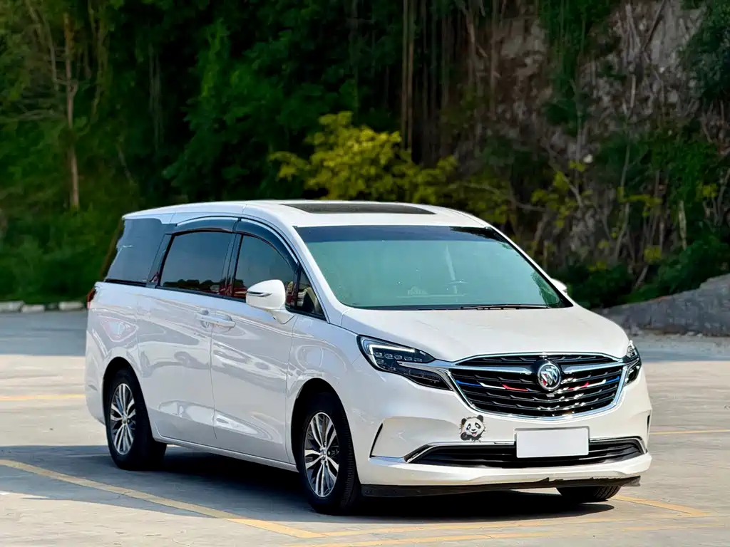 Buick GL8 — миниатюра 3