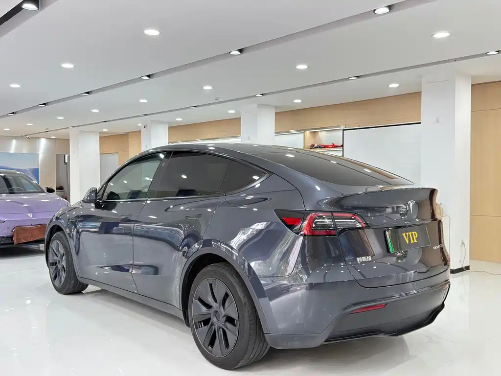 Tesla Model Y — миниатюра 9