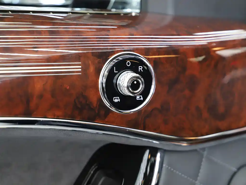 Hongqi Hongqi Golden Sunflower Guoyao — миниатюра 22
