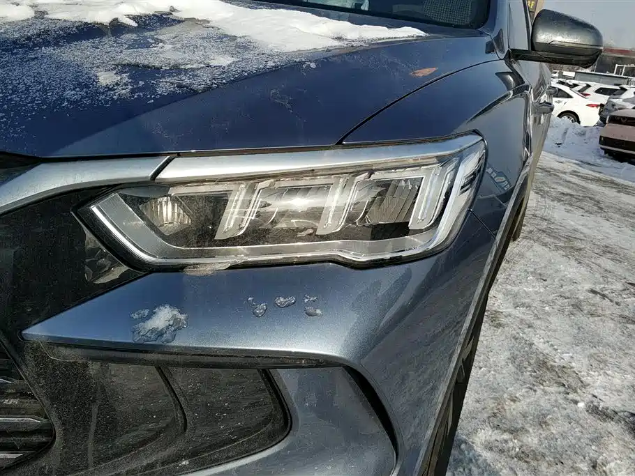 BYD SONGJIANG NEW ENERGY