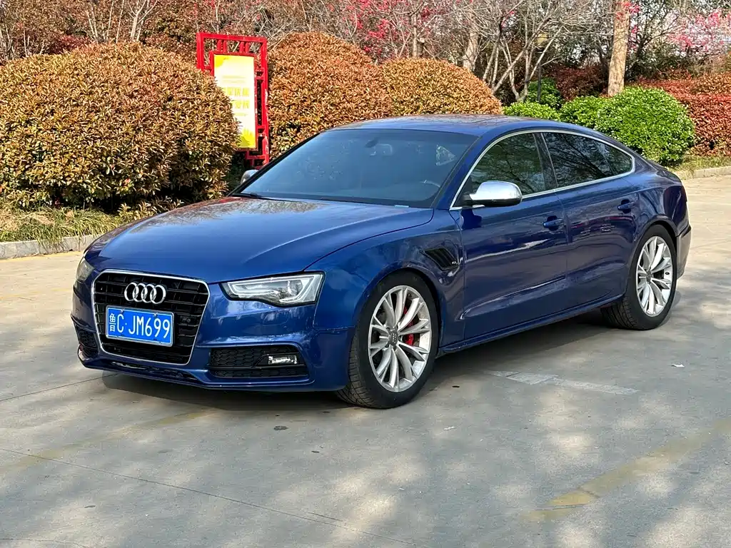 Audi S5 2016