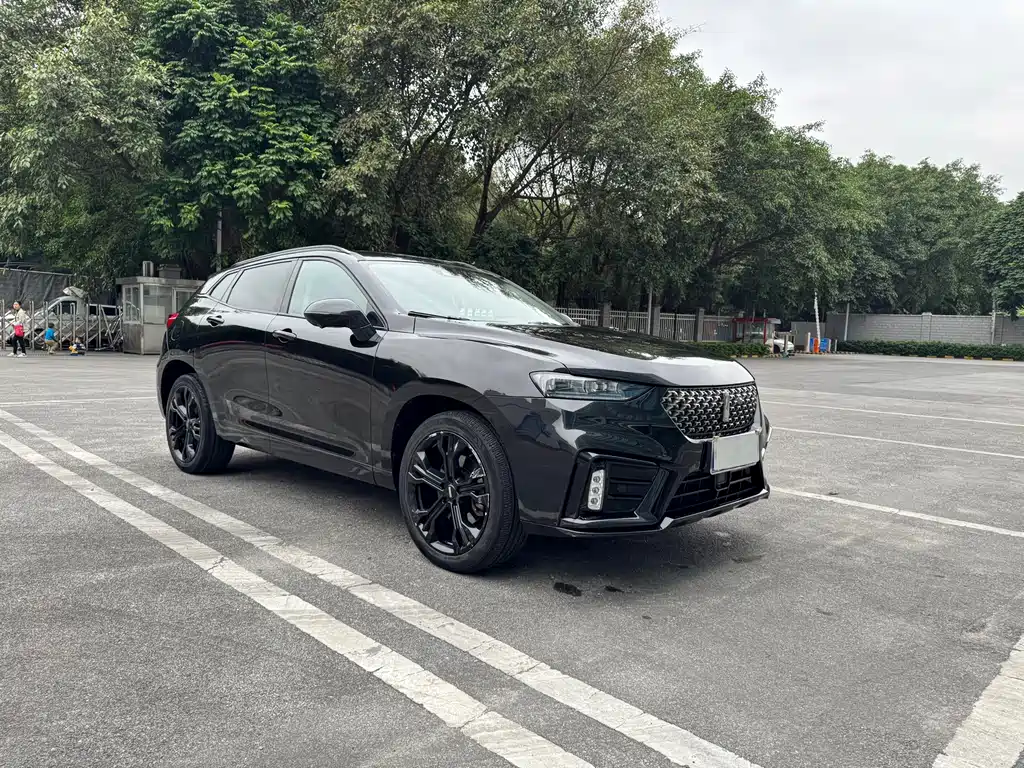 WEI PAI WEI BRAND VV7