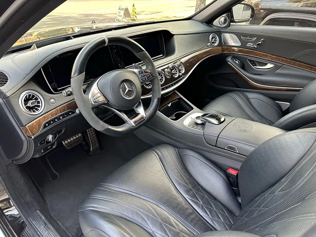 Mercedes-Benz S-Class AMG AMG S 65 L, фото 11