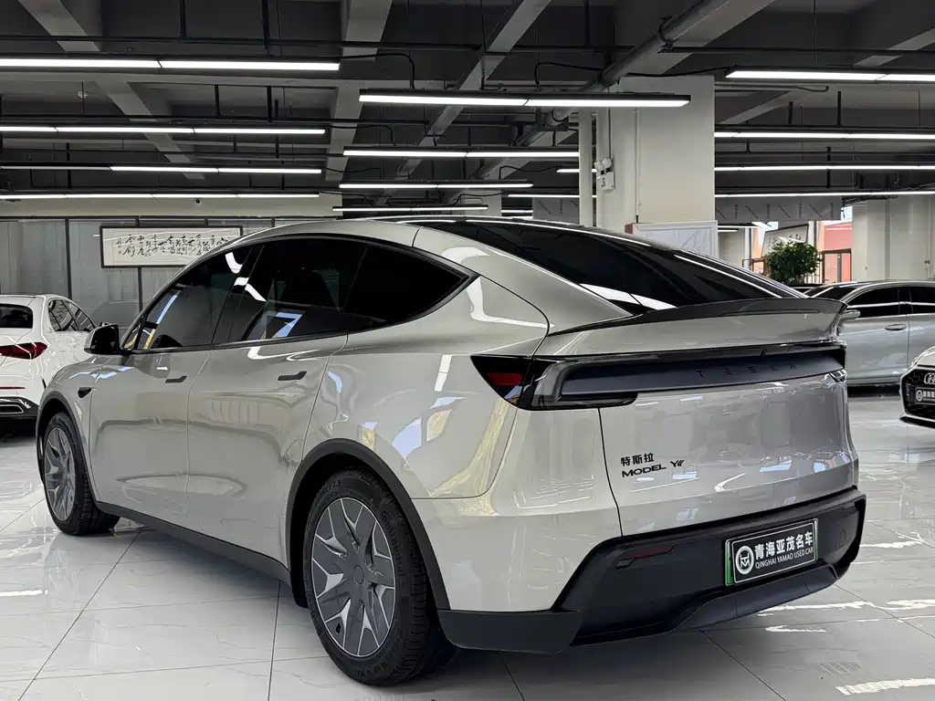 Tesla Model Y L — миниатюра 14