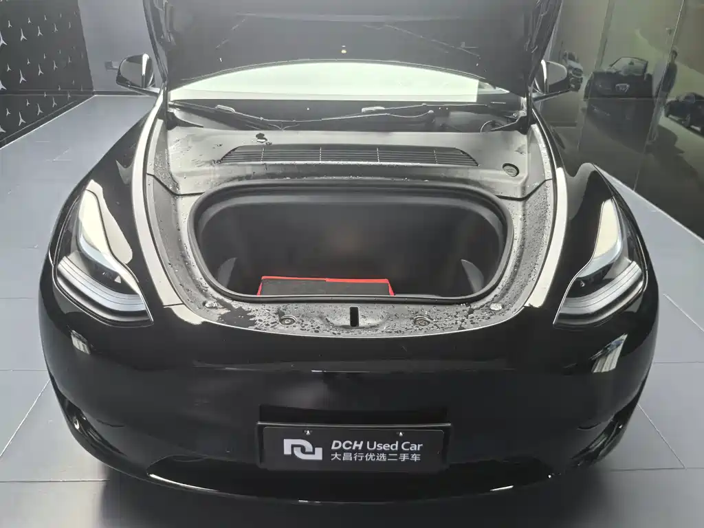 Tesla Model Y — миниатюра 13