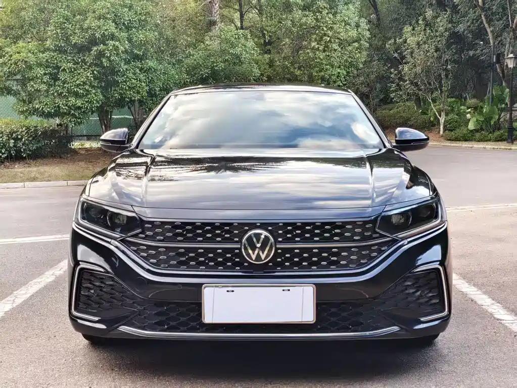 Volkswagen Passat — миниатюра 2