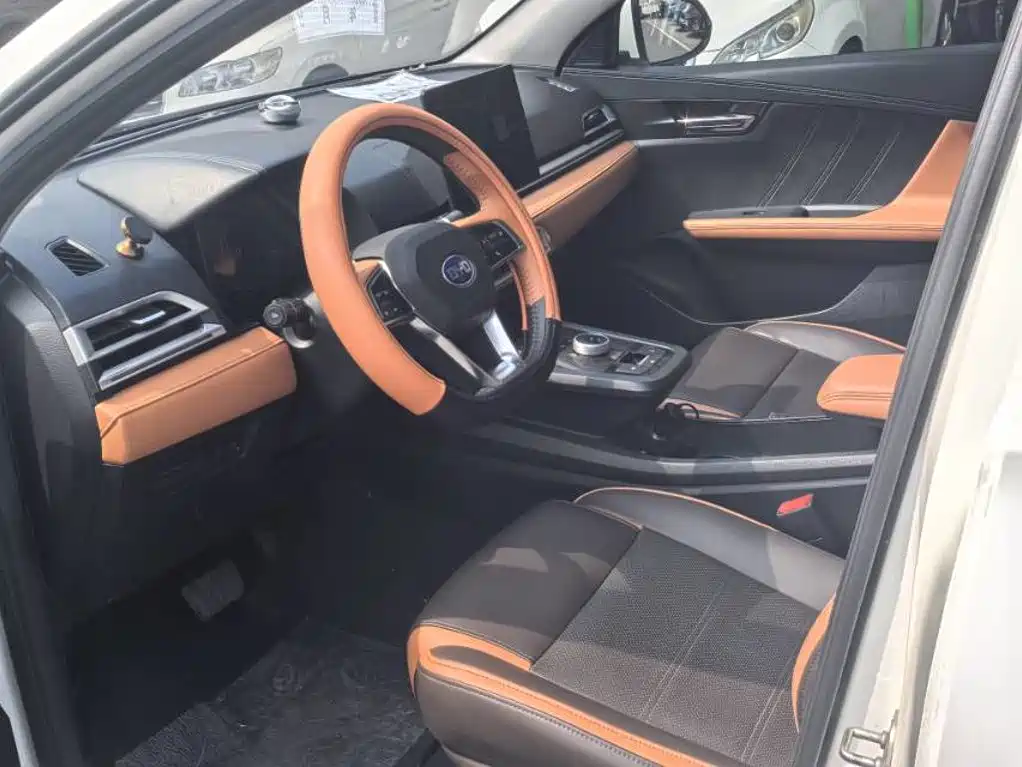BYD e2 — миниатюра 5
