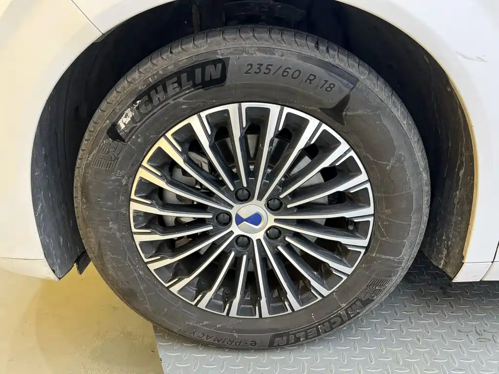 Denza Denza D9 — миниатюра 10
