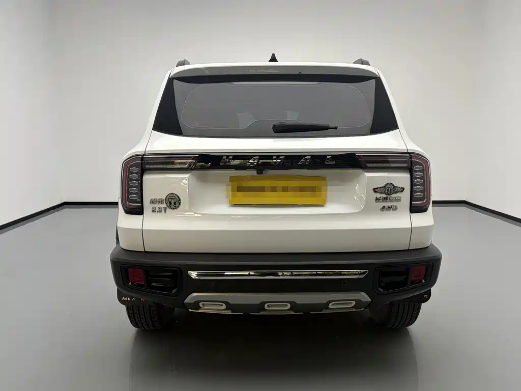 Haval Big Dog — миниатюра 5