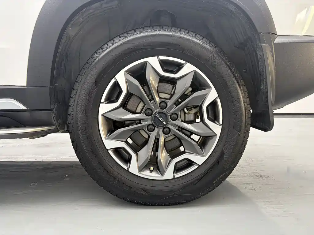 Haval Big Dog — миниатюра 9