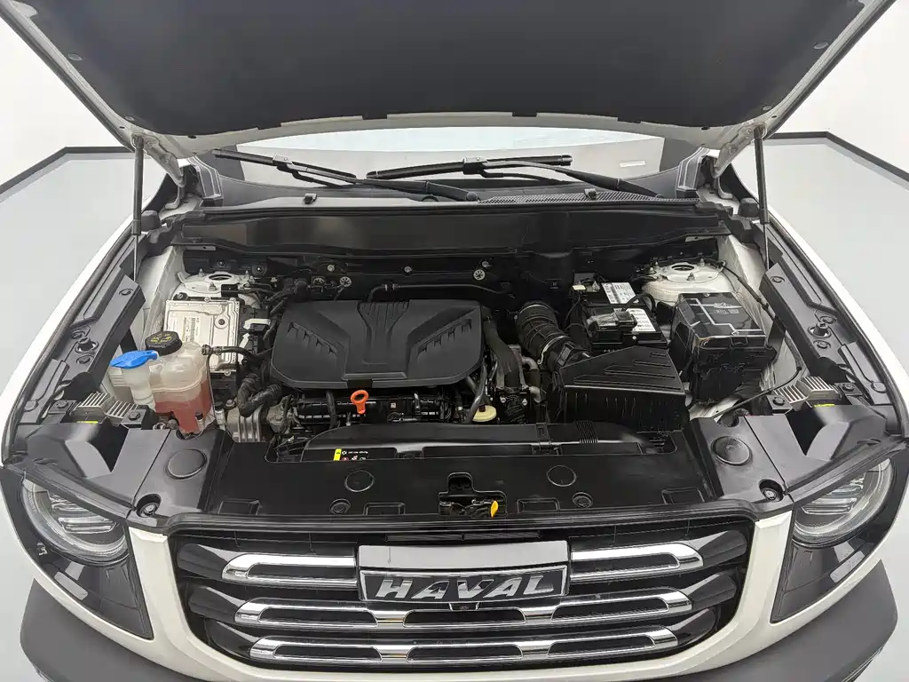 Haval Big Dog — миниатюра 19