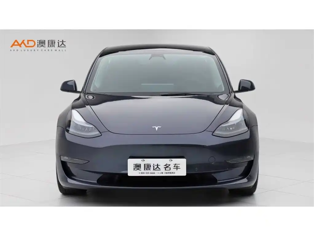 Tesla Model 3 2022 Performance