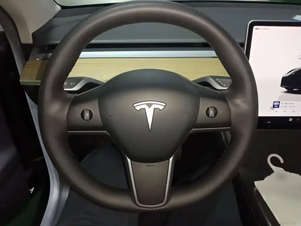 Tesla Model Y — миниатюра 11