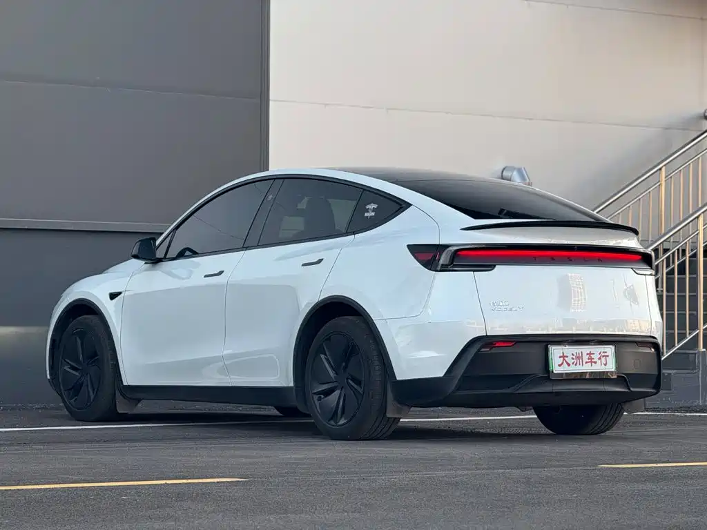 Tesla Model Y — миниатюра 7