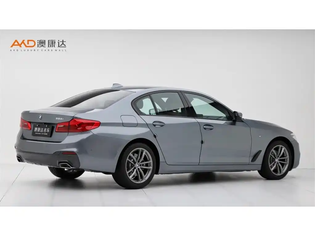 BMW 5 Series 5 2019 525Li M Sport