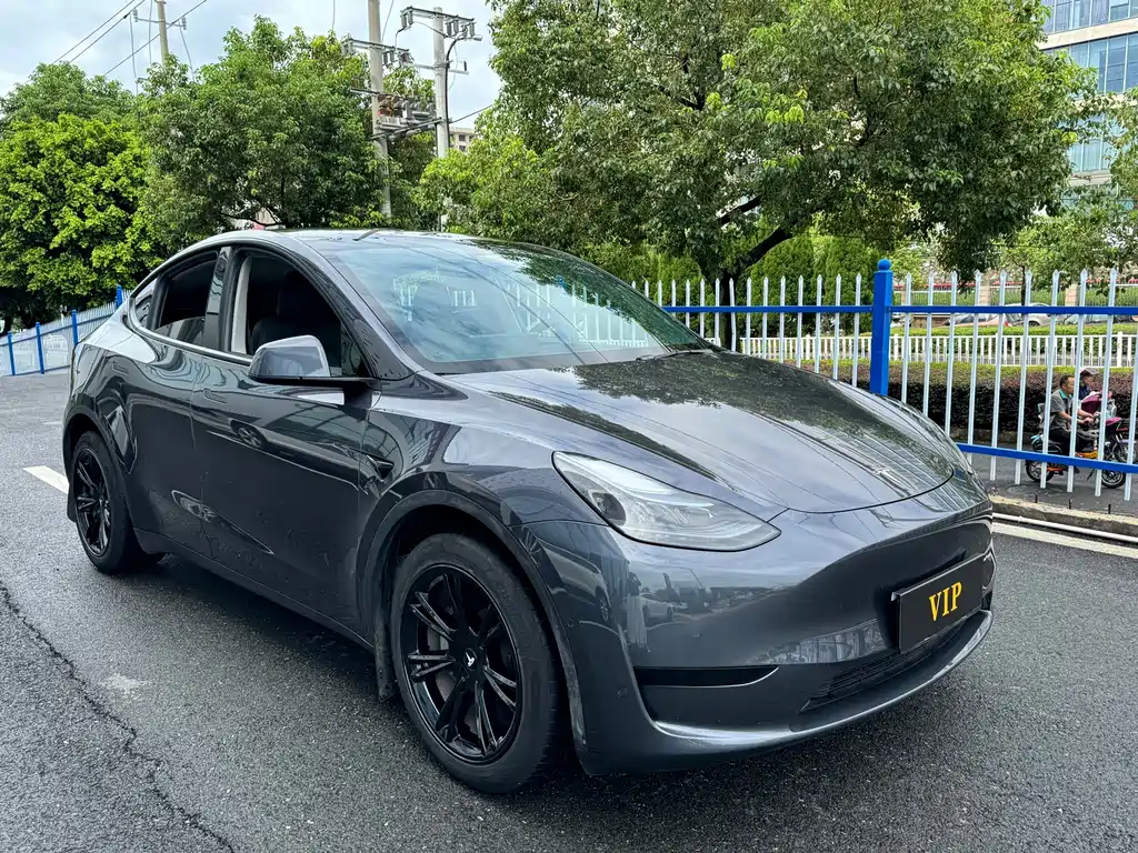 Tesla Model Y — миниатюра 3