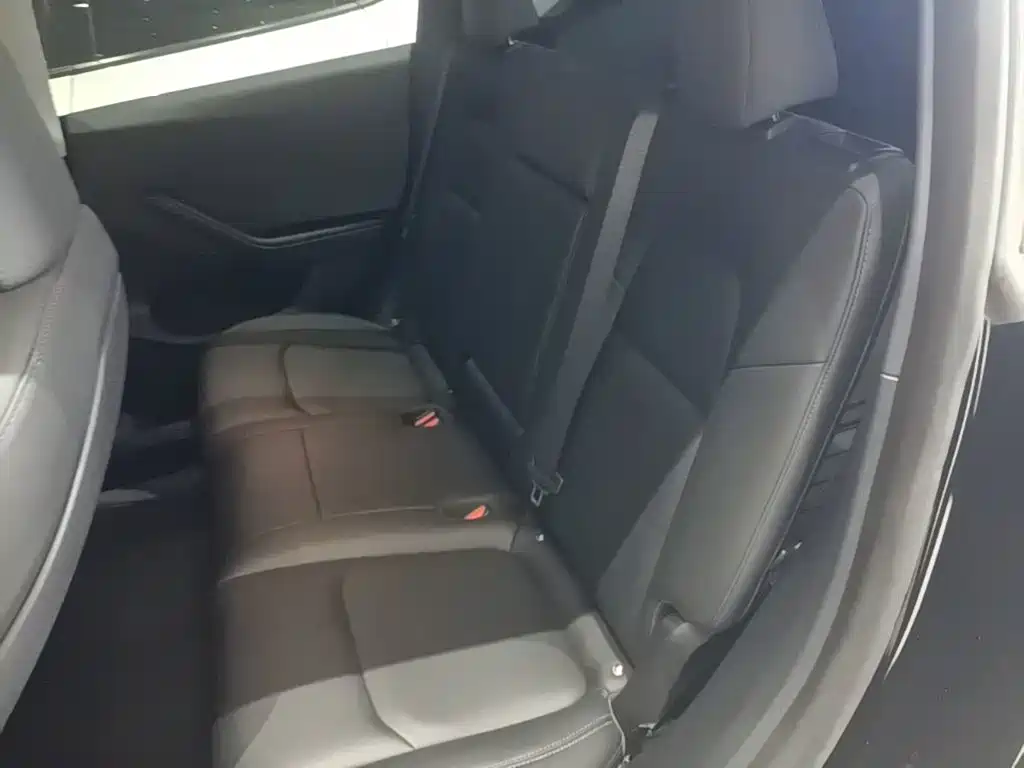 Tesla Model Y — миниатюра 17