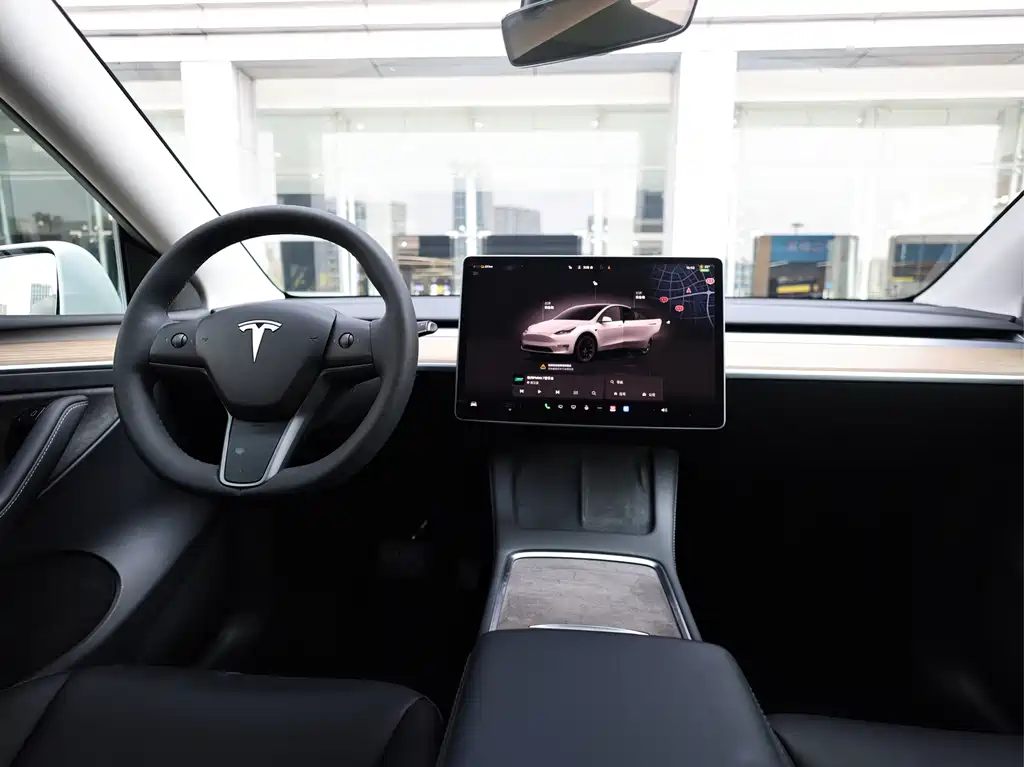 Tesla Model Y — миниатюра 16