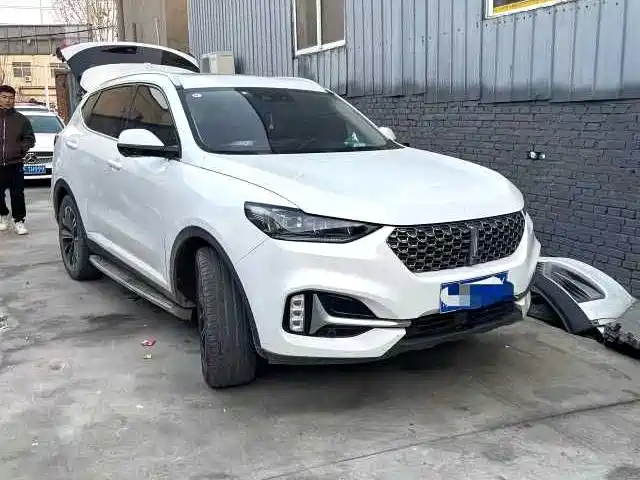 WEI PAI WEI BRAND VV6