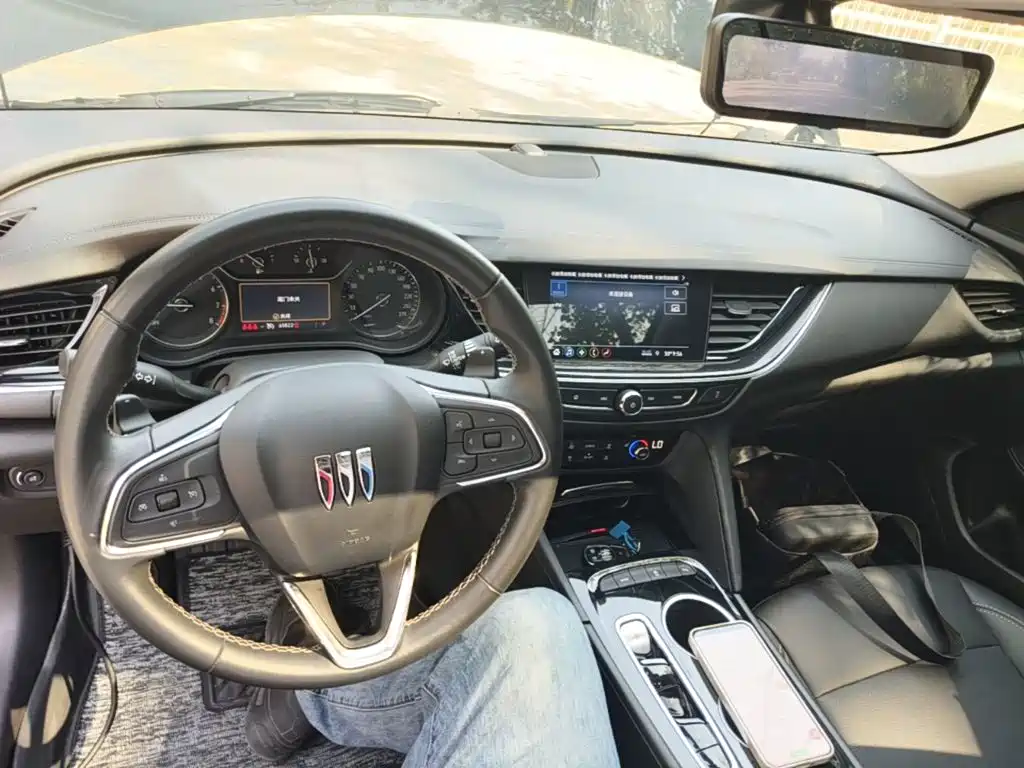 Buick Regal — миниатюра 10