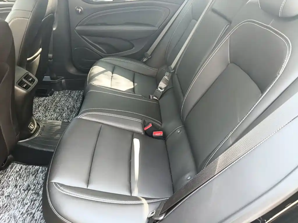 Buick Regal — миниатюра 17