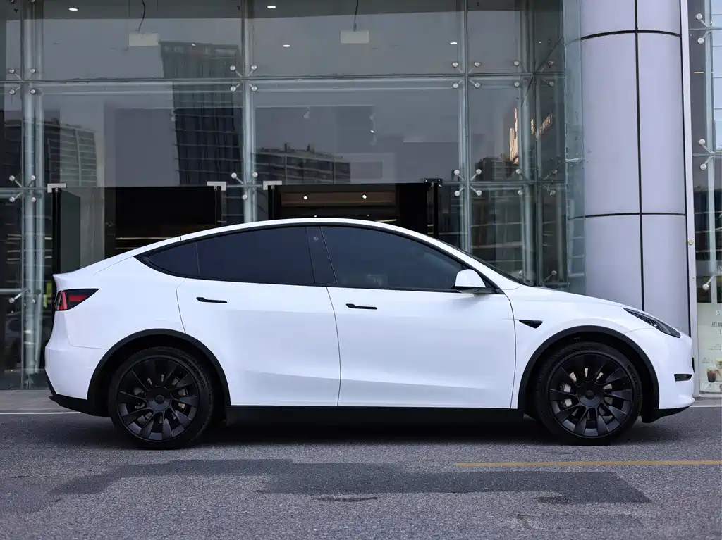 Tesla Model Y — миниатюра 7