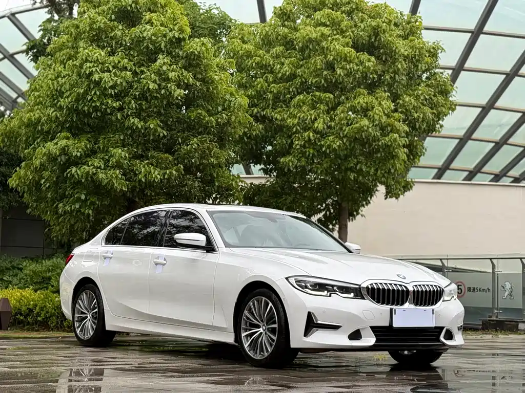 BMW 3 Series 3 2020 325Li
