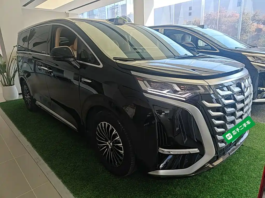 Denza Denza D9 — миниатюра 4