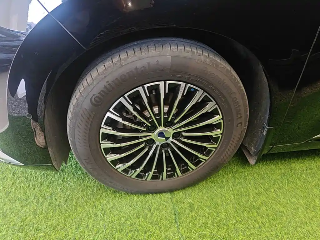 Denza Denza D9 — миниатюра 23