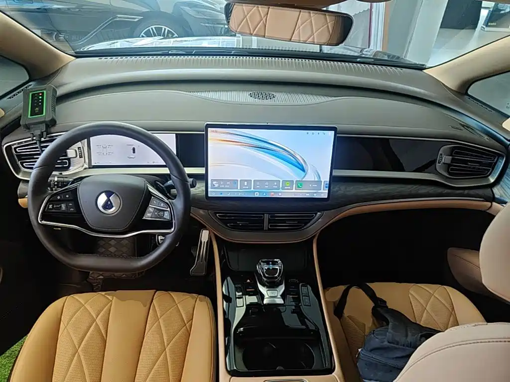 Denza Denza D9 — миниатюра 10