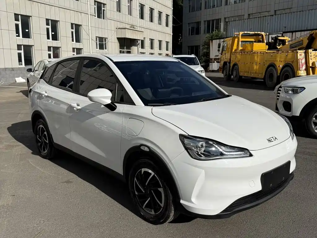 Neta Neta V — миниатюра 3
