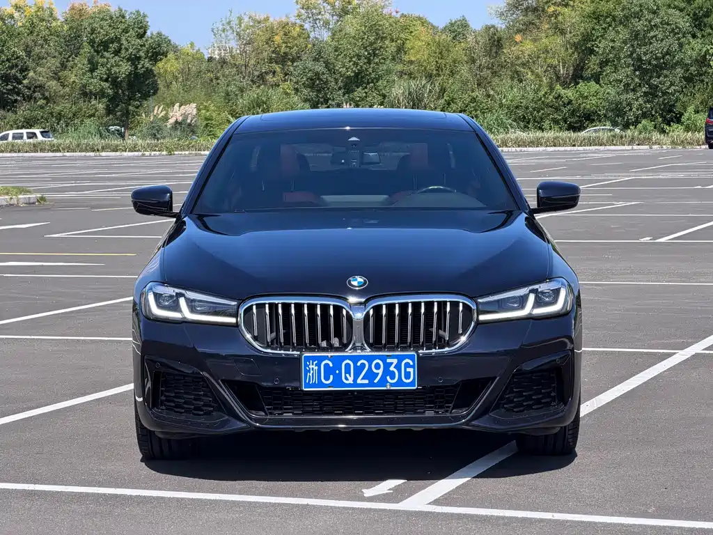 BMW 5 Series — миниатюра 2