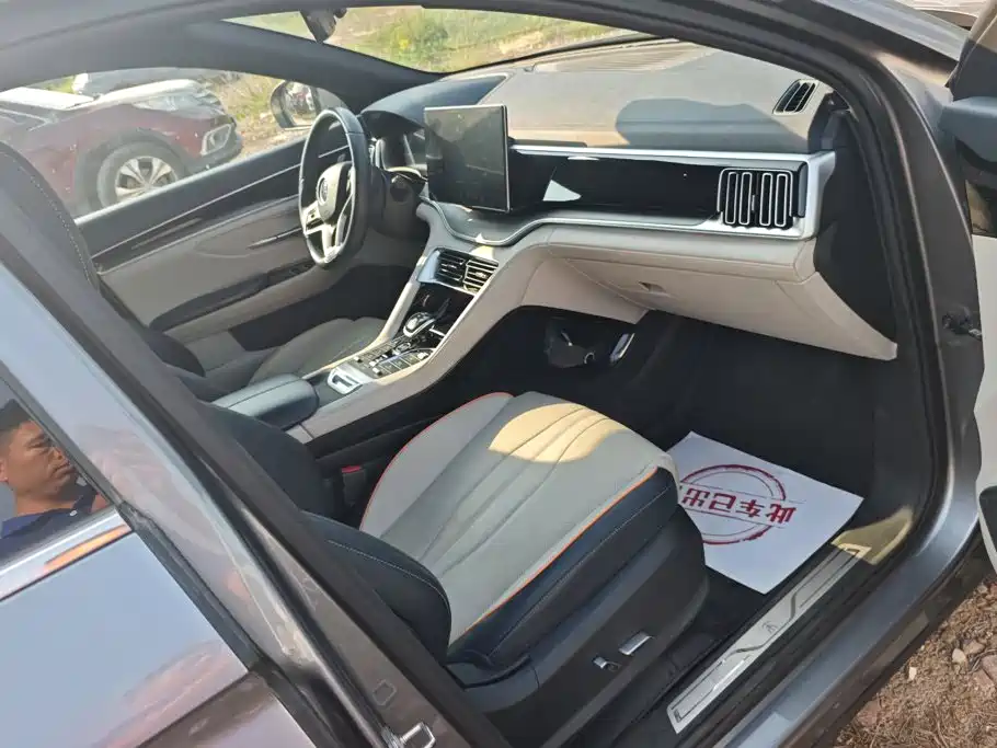 BYD PLUS New Energy — миниатюра 8