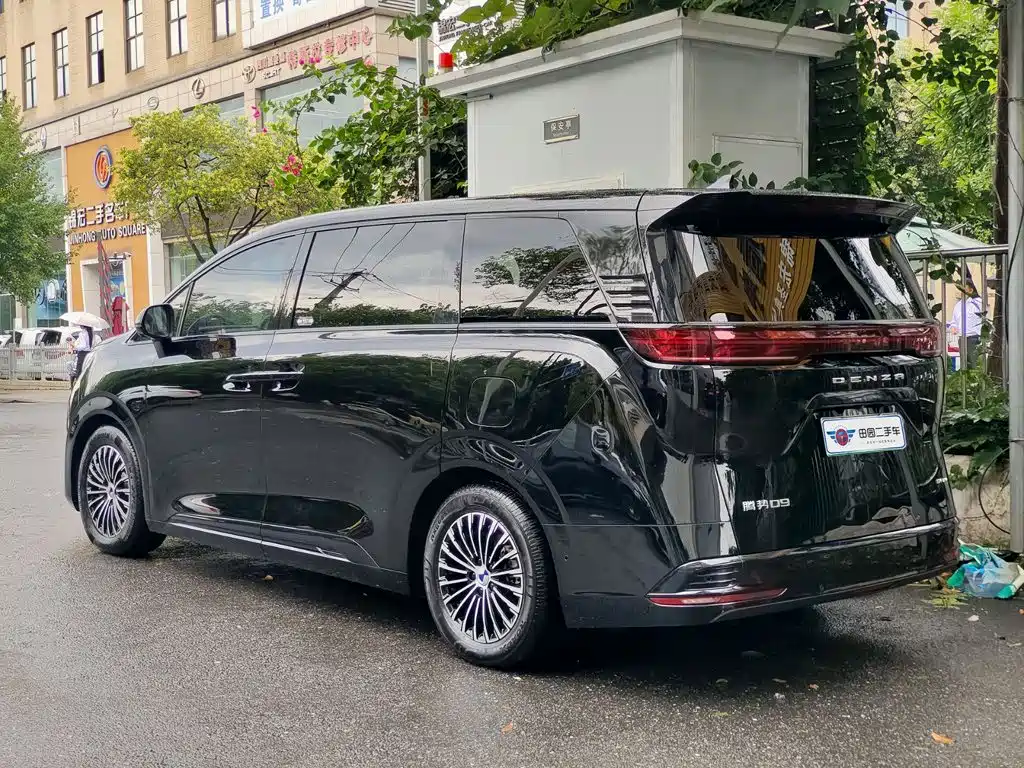 Denza Denza D9 — миниатюра 4