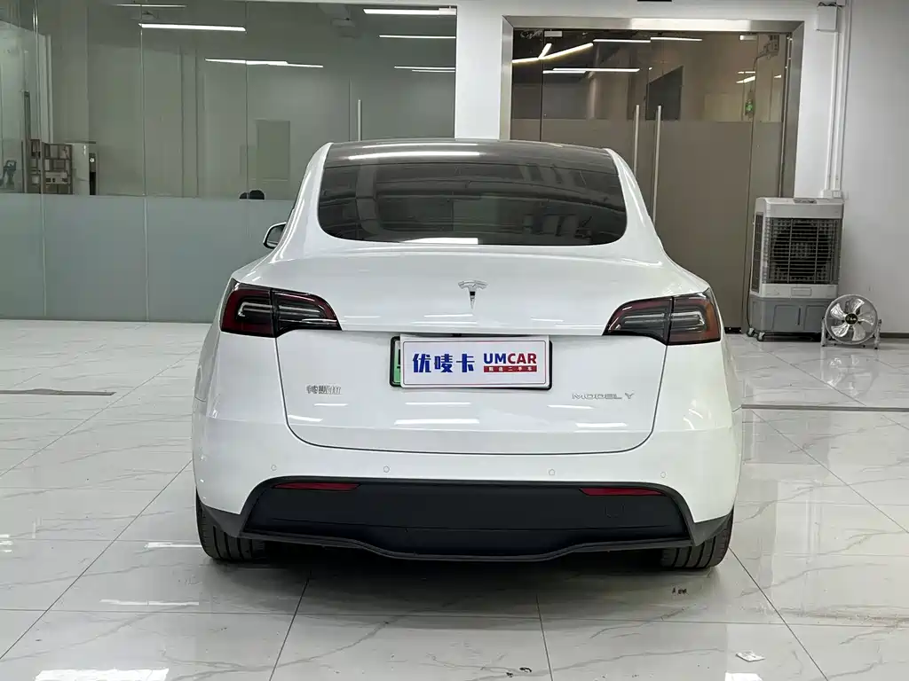 Tesla Model Y — миниатюра 5