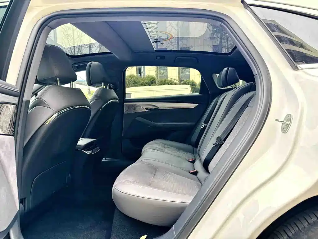 Voyah Passion 2024 PHEV Executive