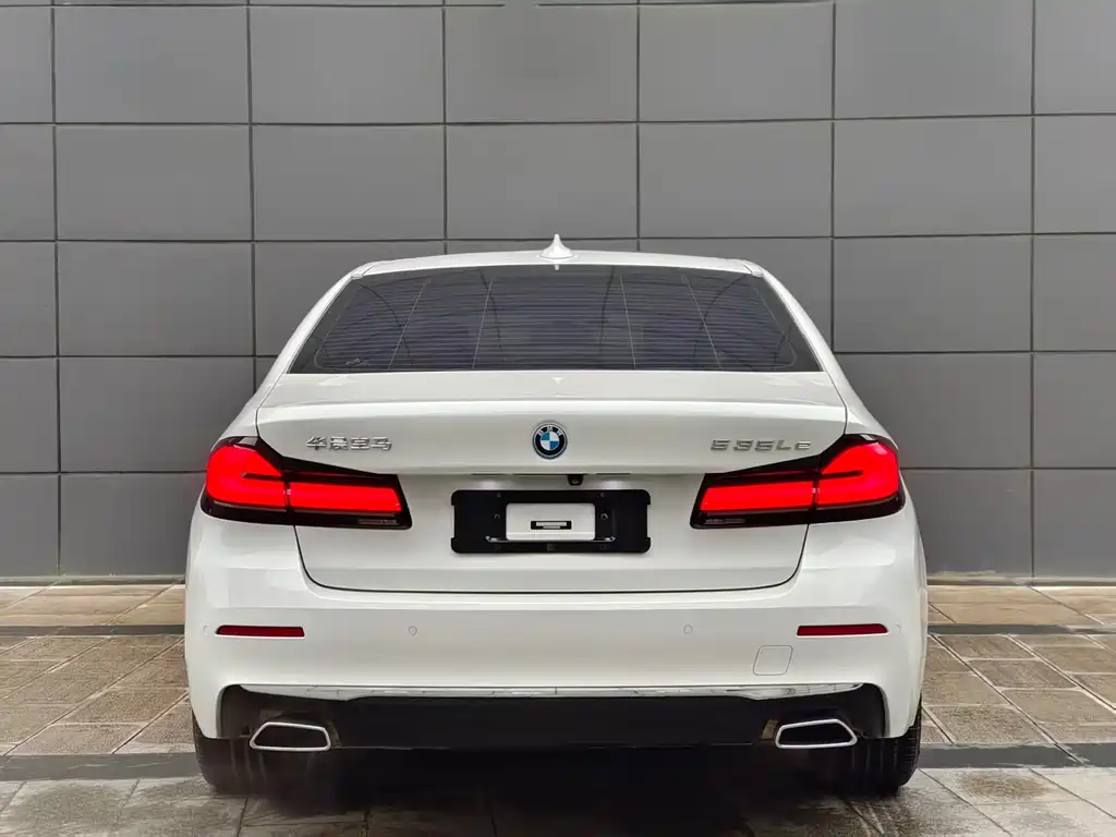 BMW 5 SERIES NEW ENERGY